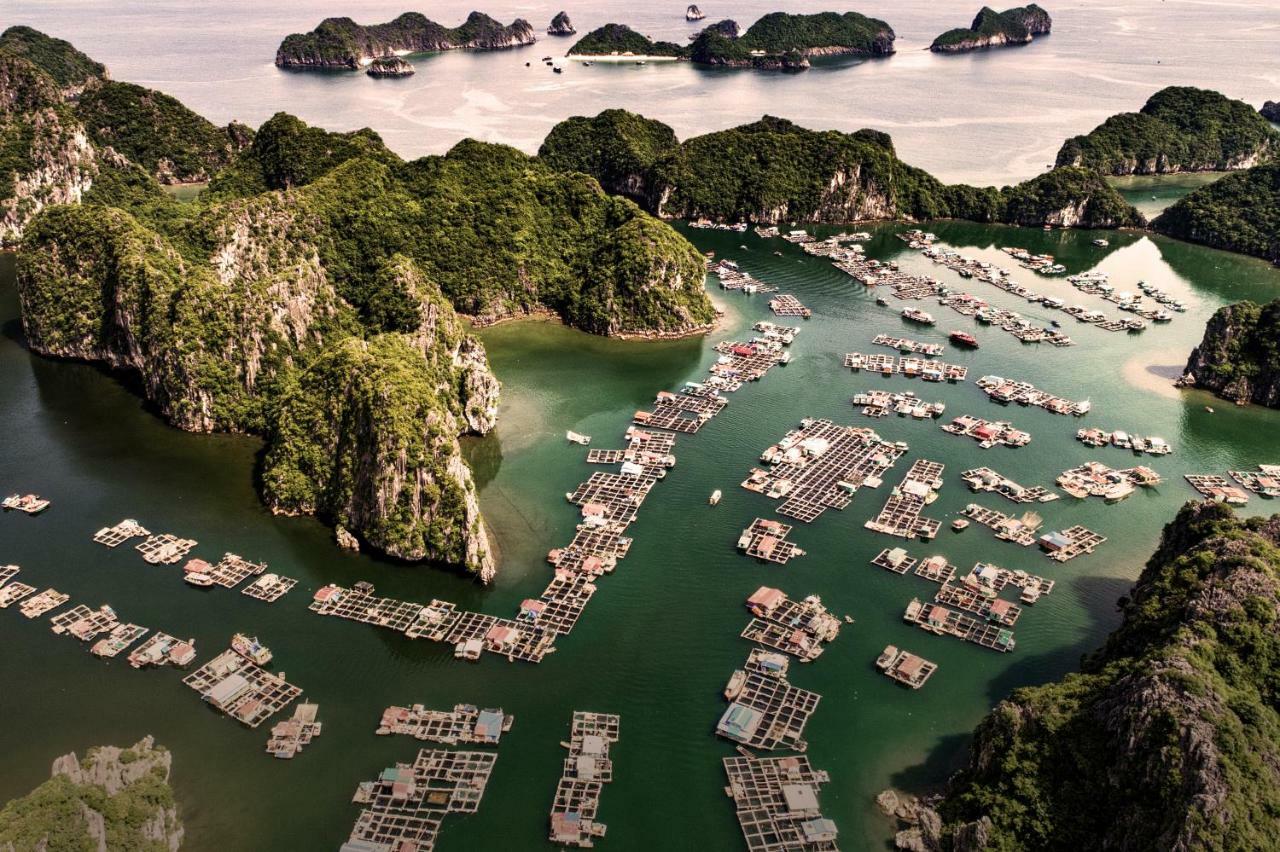 Heritage Line Ylang Cruise - Halong Bay & Lan Ha Bay Ха Лонг Екстериор снимка
