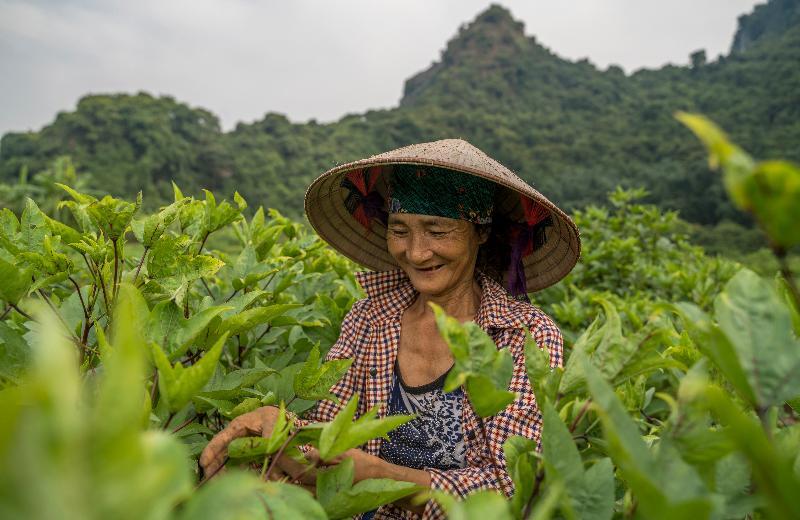Heritage Line Ylang Cruise - Halong Bay & Lan Ha Bay Ха Лонг Екстериор снимка