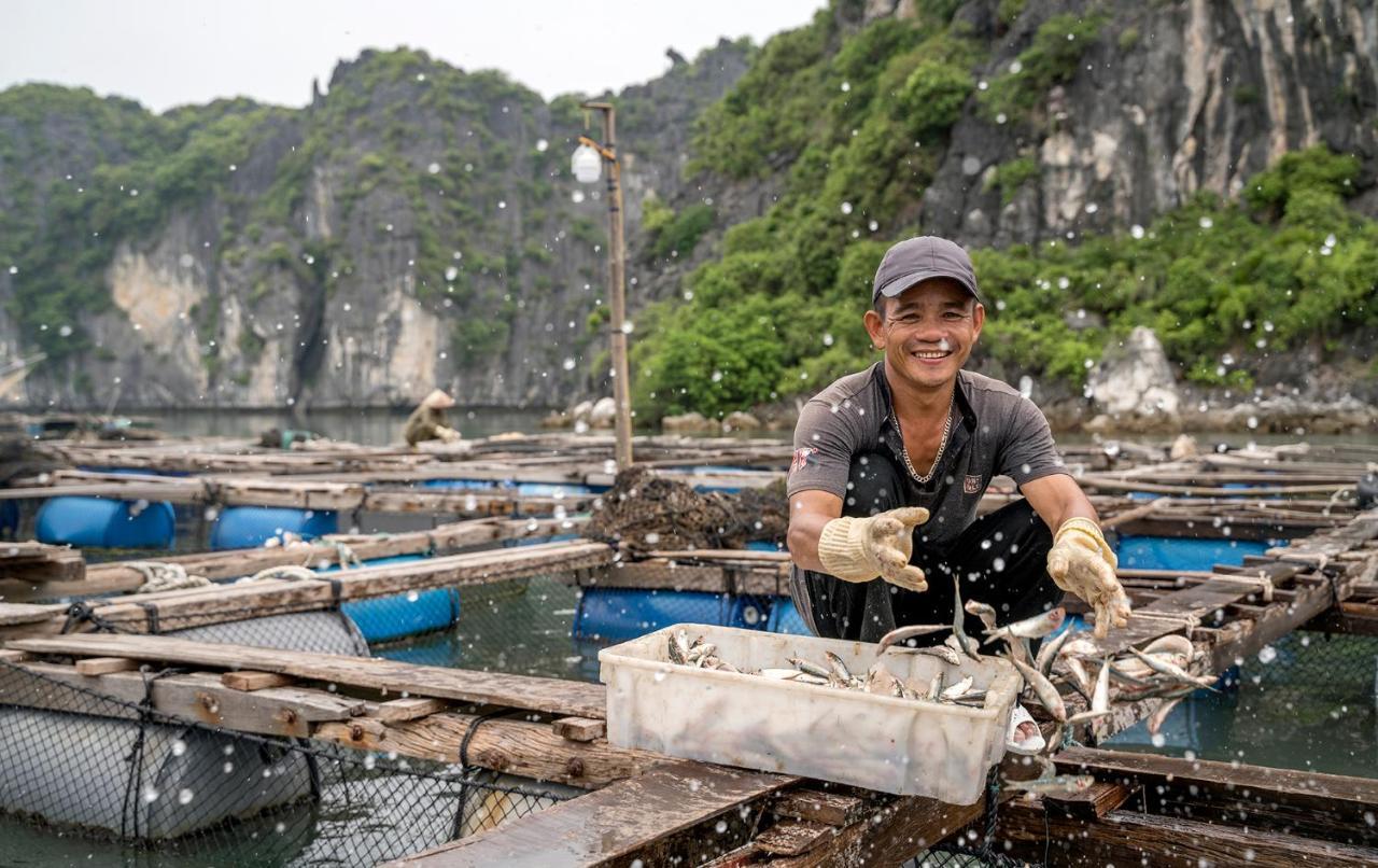 Heritage Line Ylang Cruise - Halong Bay & Lan Ha Bay Ха Лонг Екстериор снимка